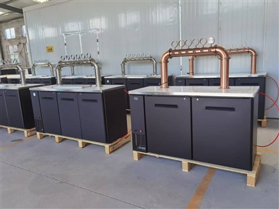 칠레 고객을 위한 쿠퍼 및 스테인리스 스틸 컬러 맥주 타워가 있는 맥주 케거레이터